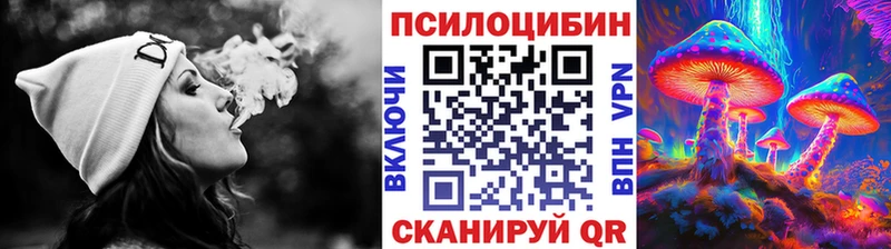 Галлюциногенные грибы MAGIC MUSHROOMS Жердевка
