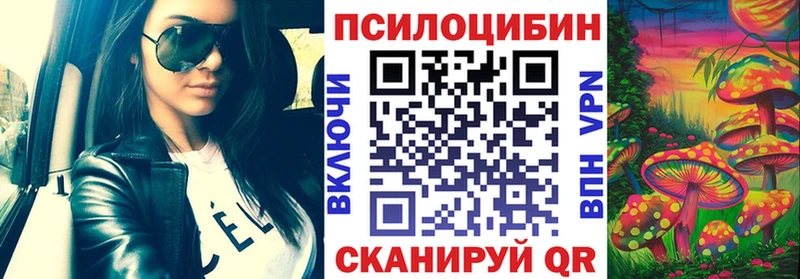 blacksprut маркетплейс Жердевка Псилоцибиновые грибы Psilocybe