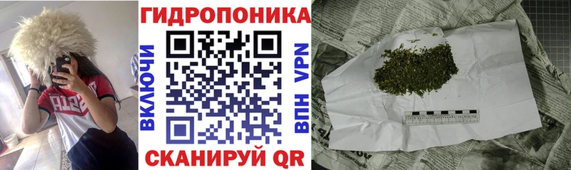 как найти закладки  Жердевка  MEGA как войти  Шишки марихуана Amnesia 